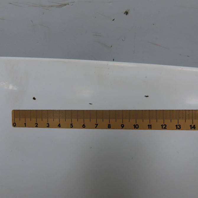 Capot occasion RENAULT TRAFIC II Phase 2 08-2006->... 2.0 DCI 90ch 651005147R 4