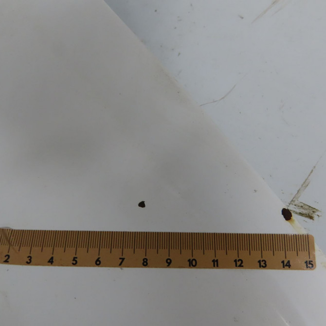 Capot occasion RENAULT TRAFIC II Phase 2 08-2006->... 2.0 DCI 90ch 651005147R 5