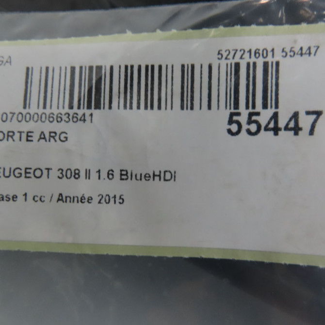 Porte arrière gauche occasion  9805267180 5