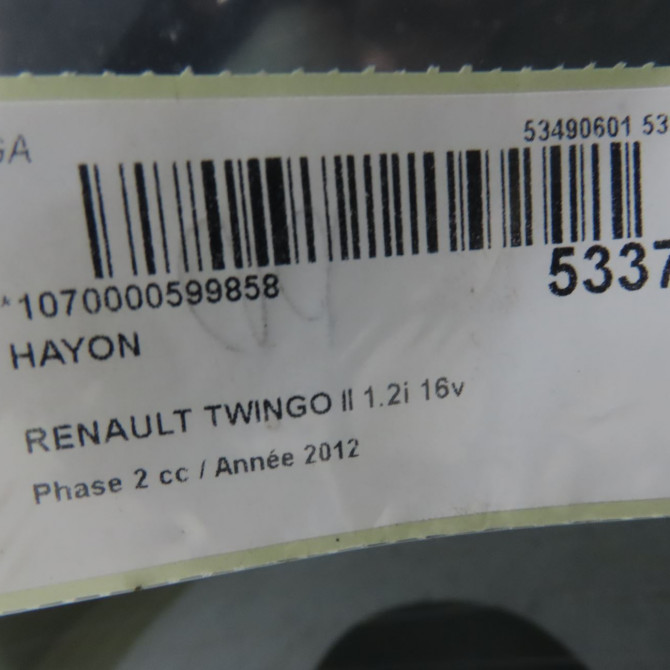 Hayon occasion RENAULT TWINGO II Phase 2 12-2011->12-2014 1.2i 16v 75ch 901003137R 7