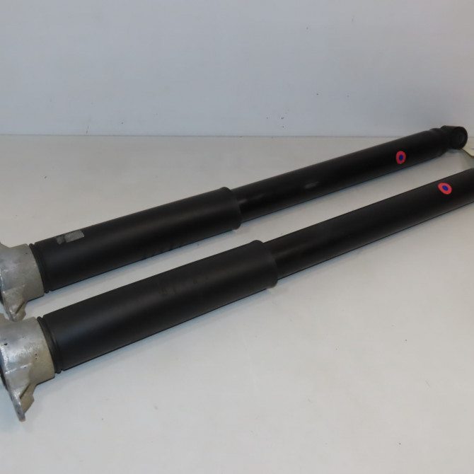 Amortisseur arrière droit occasion  1751385 1