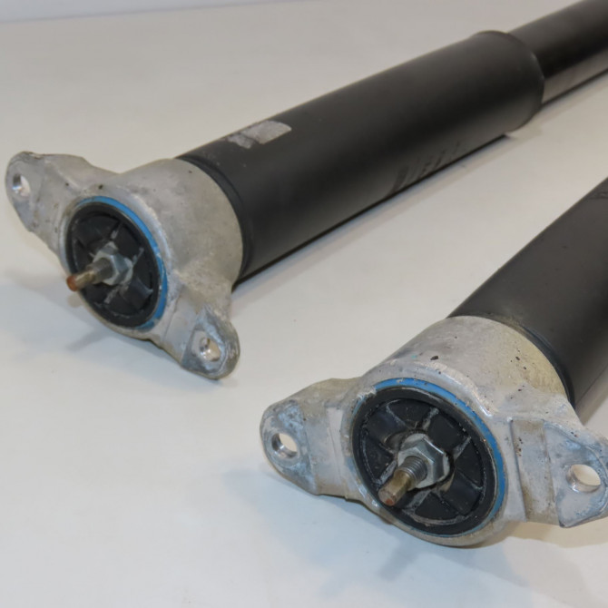 Amortisseur arrière droit occasion  1751385 2