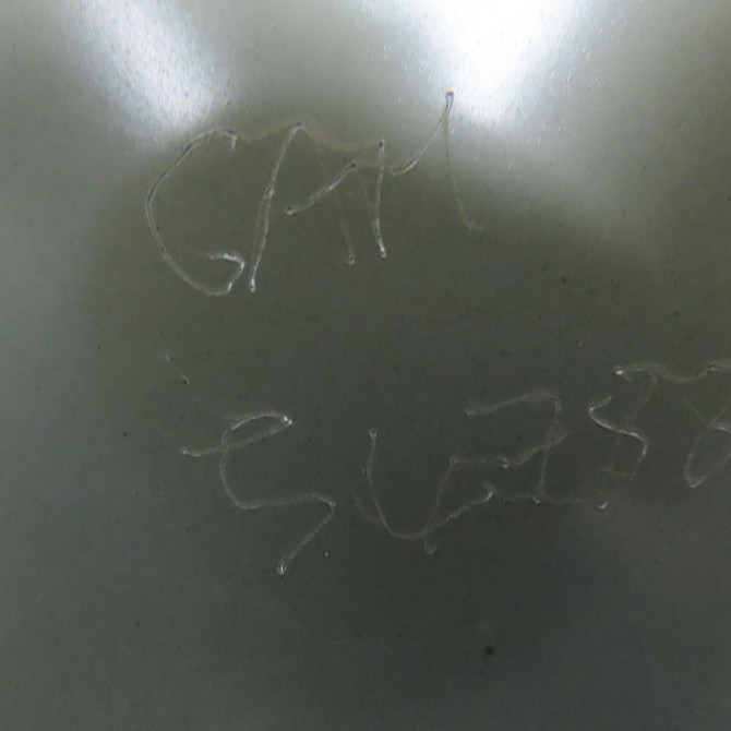 Aile avant gauche occasion PEUGEOT 508 Phase 1 04-1995->04-1999 2.0 HDI 163ch 7840CA 5