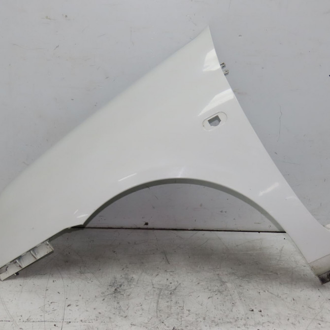 Aile avant gauche occasion RENAULT CLIO II Phase 2 06-2001->07-2006 1.5 DCI 80ch 7701473448 1