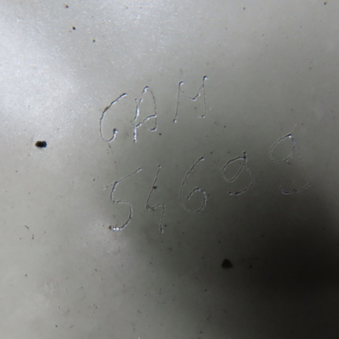 Aile avant droite occasion VOLKSWAGEN GOLF V Phase 1 11-2003->10-2008 1.9 TDI 105ch 1K6821022A 4