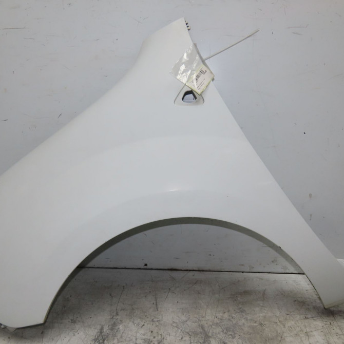 Aile avant gauche occasion RENAULT KANGOO II Phase 1 01-2008->03-2013 1.5 DCI 75ch 631011587R 1