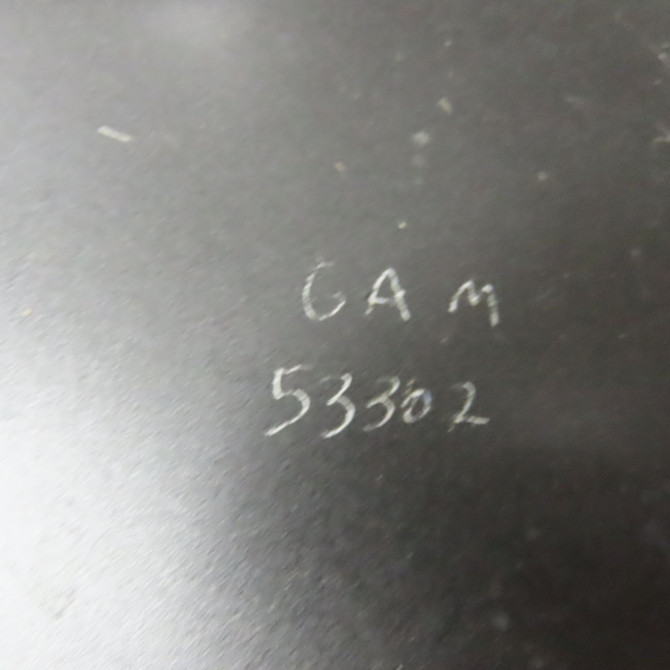 Aile avant droite occasion RENAULT MEGANE III Phase 1 11-2008->01-2012 1.4 TCE 16v 130ch 631005149R 4