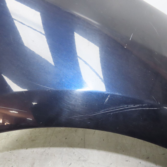 Aile avant droite occasion RENAULT LAGUNA III Phase 1 COUPE 08-2008->03-2013 631008701R 5