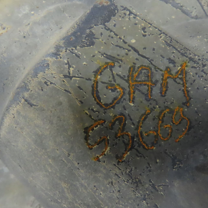 Pont arriere occasion VOLKSWAGEN 146 Phase 1 04-1995->04-1999 2.0 TDI 177ch 2N0500039BG 4