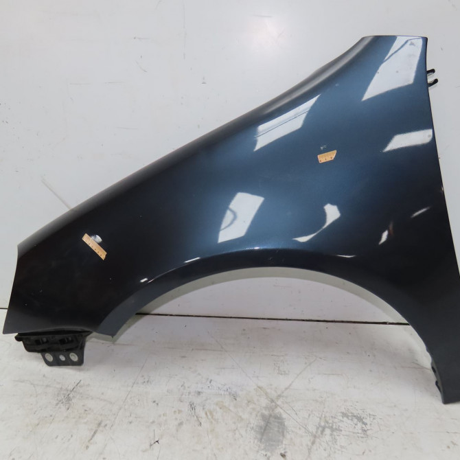 Aile avant gauche occasion VOLKSWAGEN GOLF V Phase 1 11-2003->10-2008 1.9 TDI 105ch 1K6821021A 1