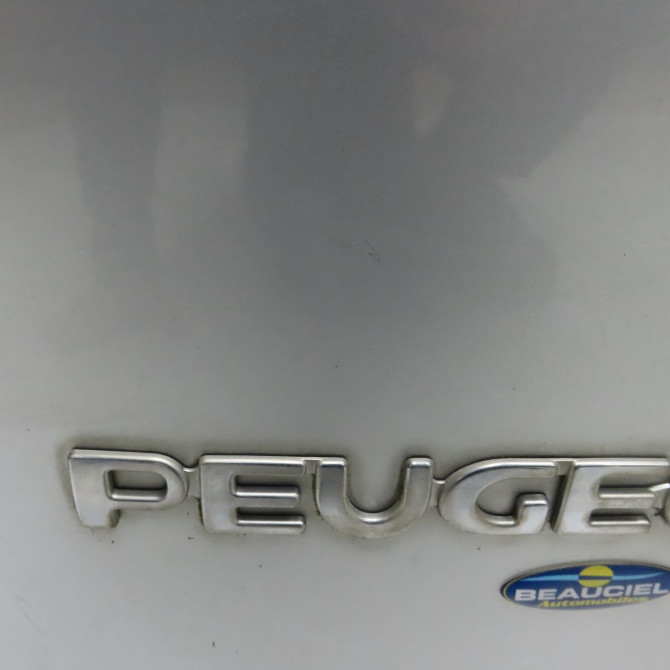 Hayon occasion PEUGEOT 206 206 phase 1 SW 2002-06-01->2006-12-31 1.4 HDI 70ch 8701R3 2
