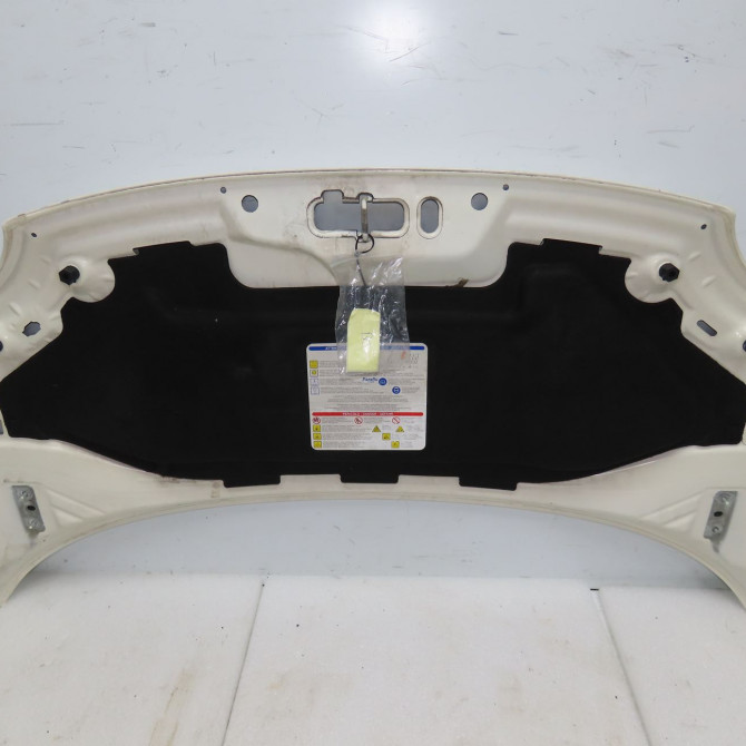 Capot occasion FIAT 500 II 500 II Phase 1 2007-07-01->2016-03-31 1.2i 69ch 52009424 3