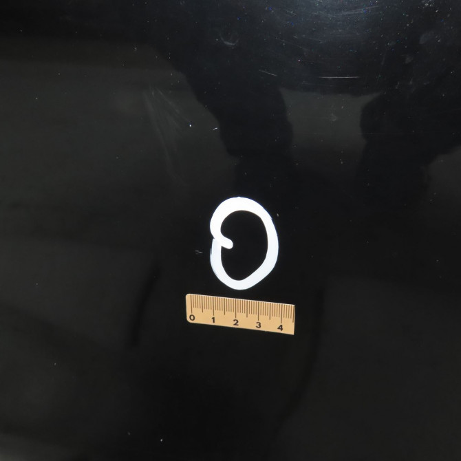 Porte arrière gauche occasion RENAULT CLIO IV Phase 1 07-2012->... 1.5 DCI 90ch 821016892R 3