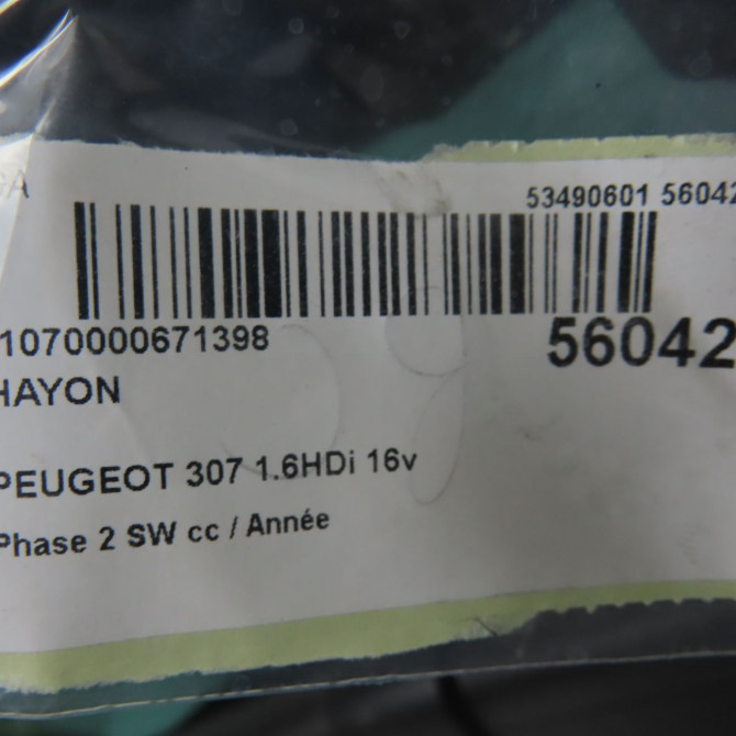 Hayon occasion PEUGEOT 307 Phase 2 SW 06-2005->07-2008 1.6HDi 16v FAP 110ch 8701Q4 6