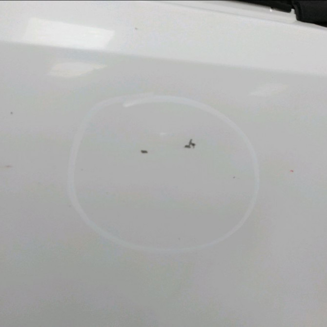 Porte avant droite occasion PEUGEOT PARTNER II Phase 3 04-2015->... 1.6 HDI 90ch 9004Z6 3