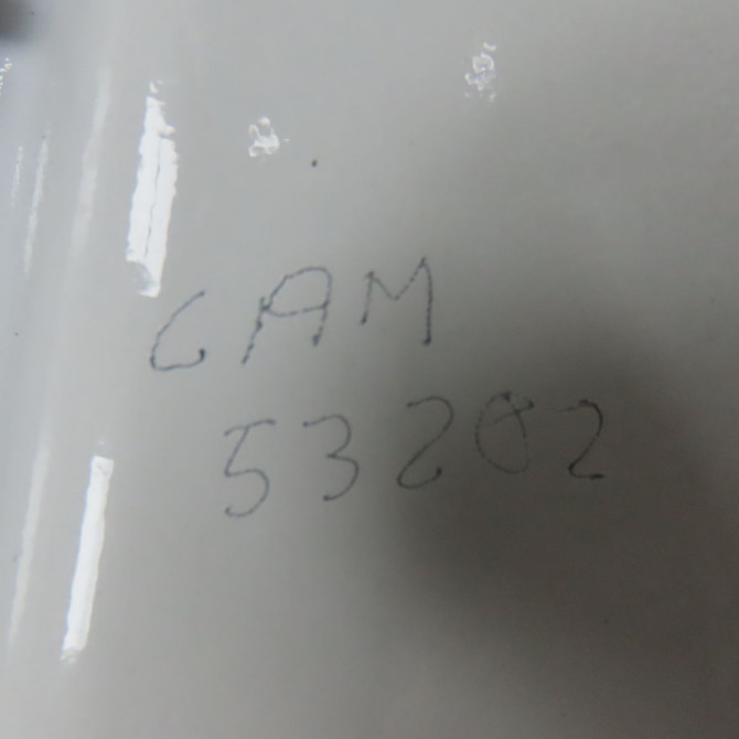Porte avant gauche occasion CITROEN BERLINGO II Phase 1 05-2008->01-2012 1.6 HDI 16v 75ch 9002Z3 4