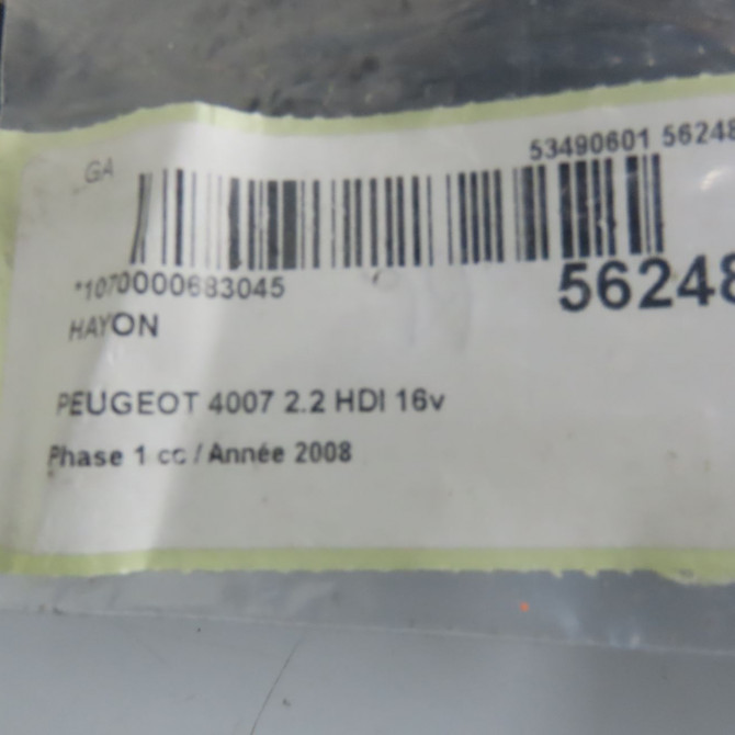 Hayon occasion PEUGEOT 4007 Phase 1 07-2007->03-2013 2.2 HDI 16v 8701Z4 4