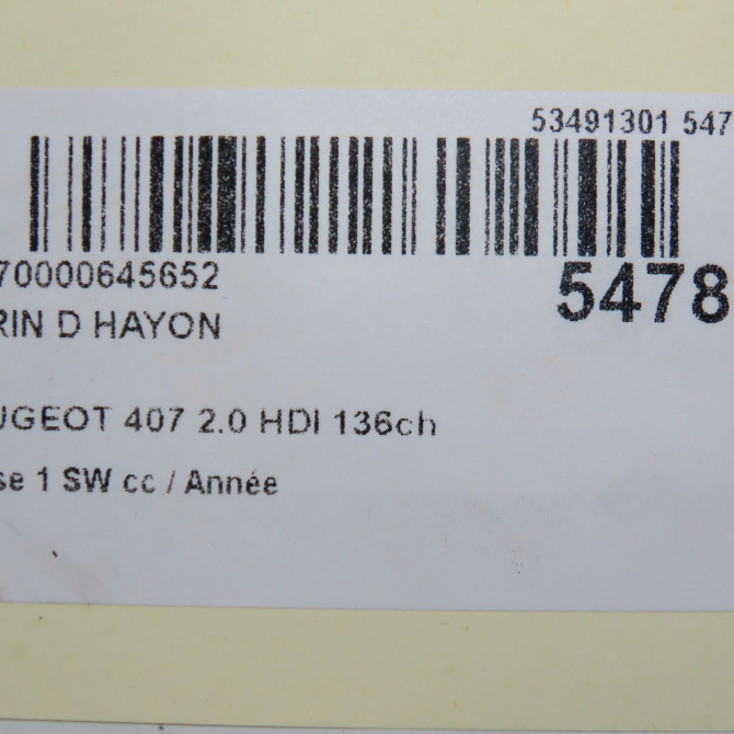 Verin droit hayon occasion PEUGEOT 407 Phase 1 04-1995->04-1999 2.0 HDI 136ch 8731J6 6