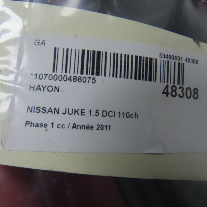 Hayon occasion NISSAN JUKE Phase 1 09-2010->... 1.5 DCI 110ch K01001KAAE 4