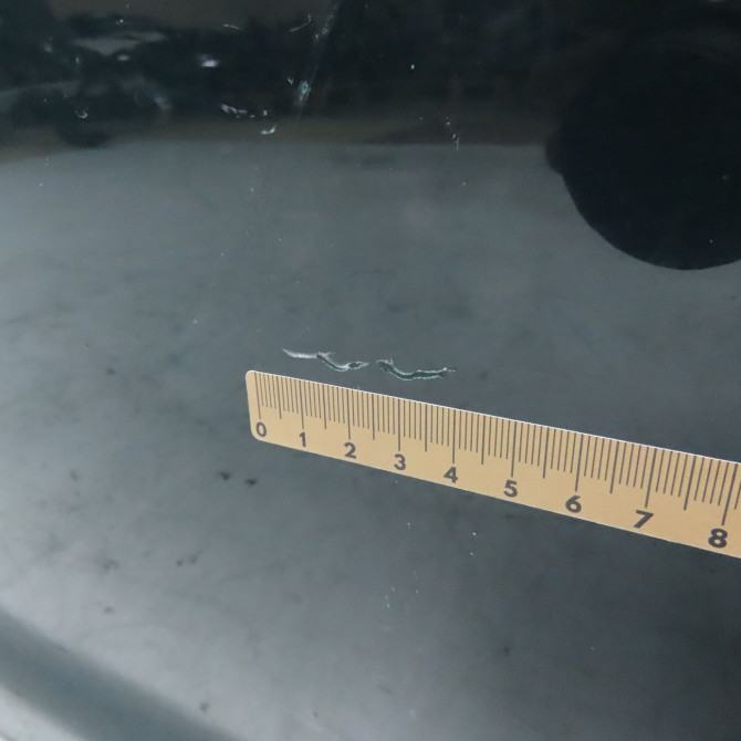 Porte arrière droite occasion JAGUAR XJ III C2C6268 3