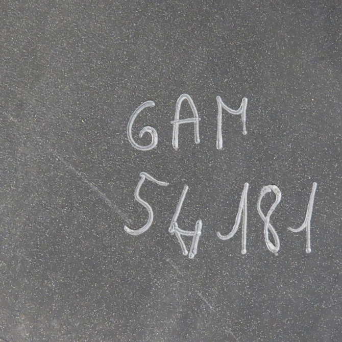 Calandre occasion RENAULT KANGOO II Phase 1 01-2008->03-2013 1.5 DCI 85ch 7701210129 3