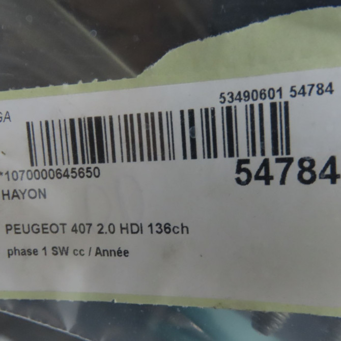Hayon occasion PEUGEOT 407 Phase 1 04-1995->04-1999 2.0 HDI 136ch 8701T5 4