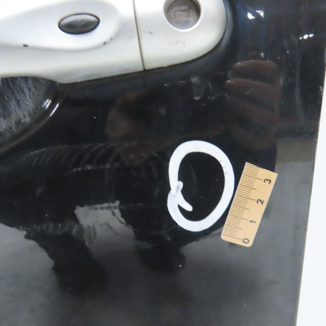 Porte avant gauche occasion RENAULT MEGANE III Phase 1 11-2008->01-2012 1.9 DCI 130ch 801016886R 3