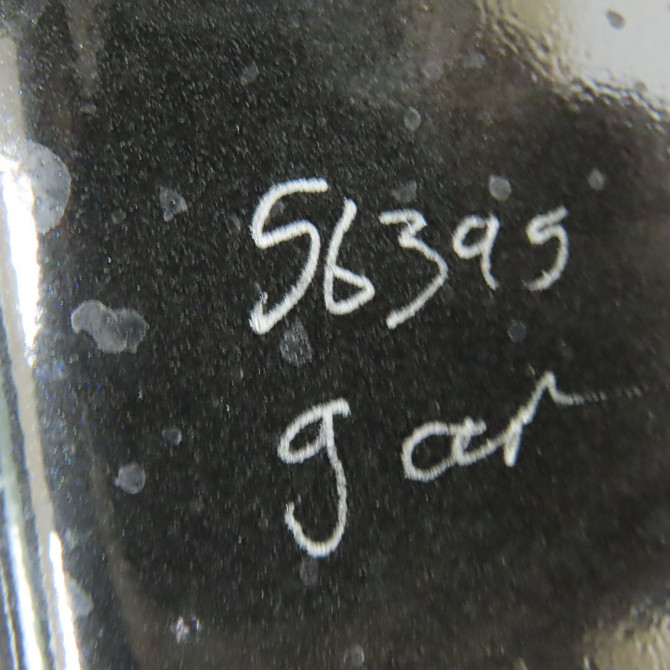 Porte avant gauche occasion RENAULT MEGANE III Phase 1 11-2008->01-2012 1.9 DCI 130ch 801016886R 4