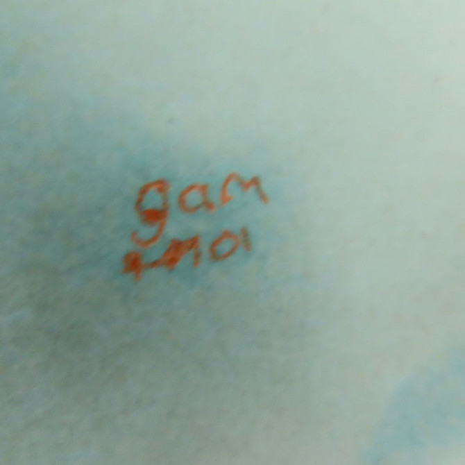 Capot occasion ROVER MINI BKA360070 6