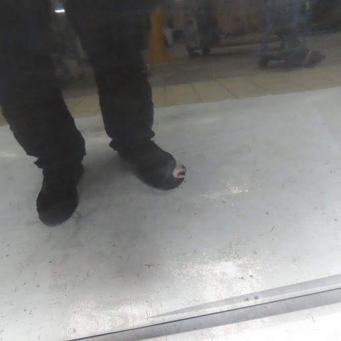 Porte avant gauche occasion RENAULT SCENIC III Phase 1 04-2009->11-2011 1.9 DCI 130ch 801014883R 3