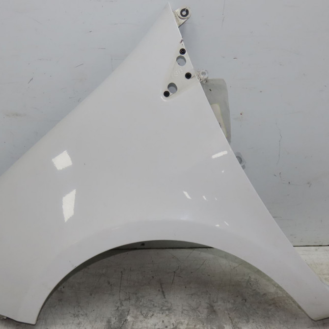 Aile avant gauche occasion RENAULT CLIO III Phase 1 09-2005->03-2009 1.5 DCI 85ch 631014270R 1