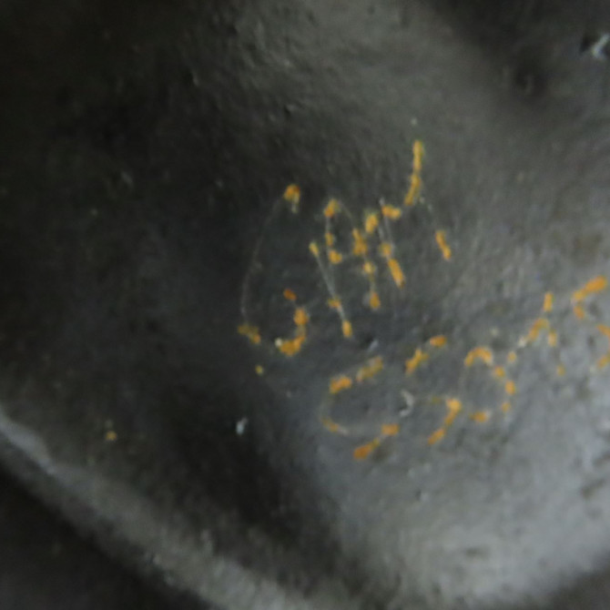 Moteur essence occasion RENAULT CLIO II Phase 1 03-1998->06-2001 1.2 7701471478 6