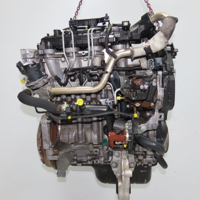 Moteur diesel occasion CITROEN BERLINGO II Phase 1 05-2008->01-2012 1.6 HDi 75ch 135PN 4