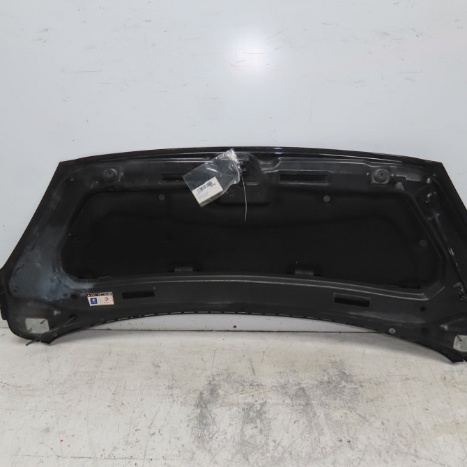 Capot occasion PEUGEOT 1007 Phase 1 04-2005->12-2010 1.6i 16v 7901Q5 2