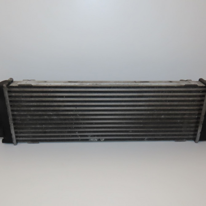 Echangeur air occasion RENAULT TRAFIC II Phase 2 08-2006->... 2.0 DCI 90ch 8200411160 2