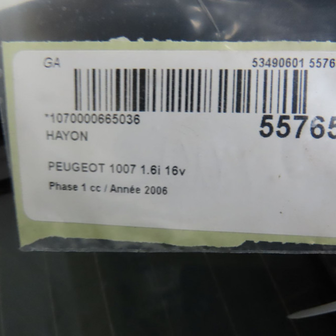 Hayon occasion PEUGEOT 1007 Phase 1 04-2005->12-2010 1.6i 16v 8701T2 8