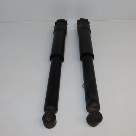 Amortisseur arrière droit occasion RENAULT LAGUNA III Phase 2 11-2010->03-2013 2.0 DCI 16v 130ch 562100008R