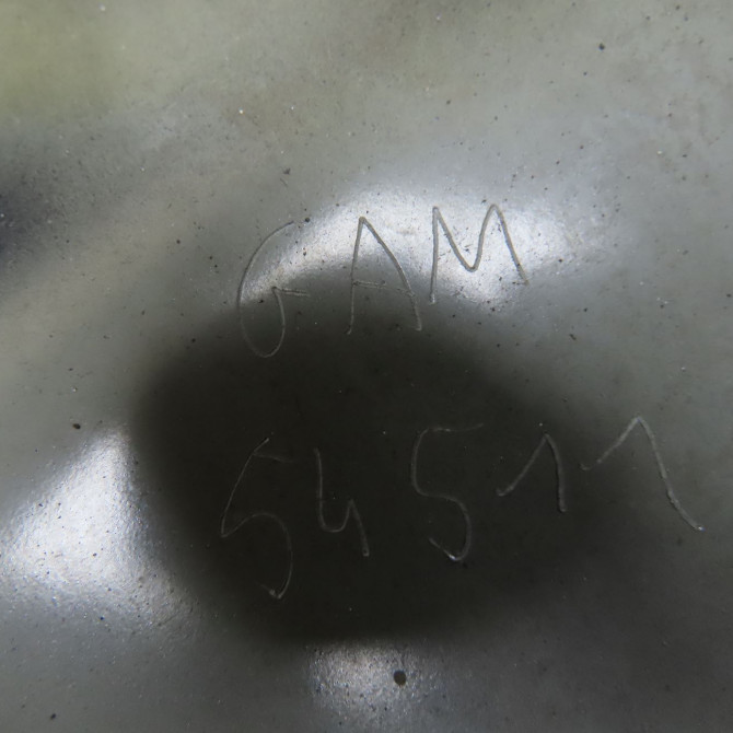 Aile avant droite occasion RENAULT LAGUNA III Phase 1 10-2007->10-2010 2.0 DCI 150ch 631000032R 5