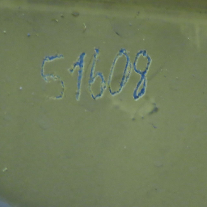 Porte battante arrière gauche occasion RENAULT KANGOO I Phase 2 03-2003->06-2010 1.5 DCI 55ch 901016192R 3