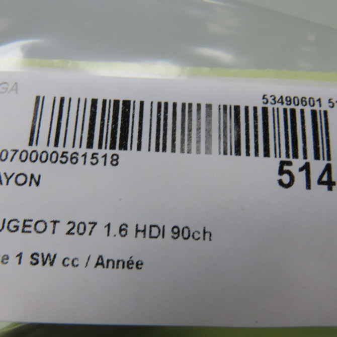 Hayon occasion PEUGEOT 207 Phase 1 SW 07-2007->03-2013 1.6 HDI 90ch 8701AY 7