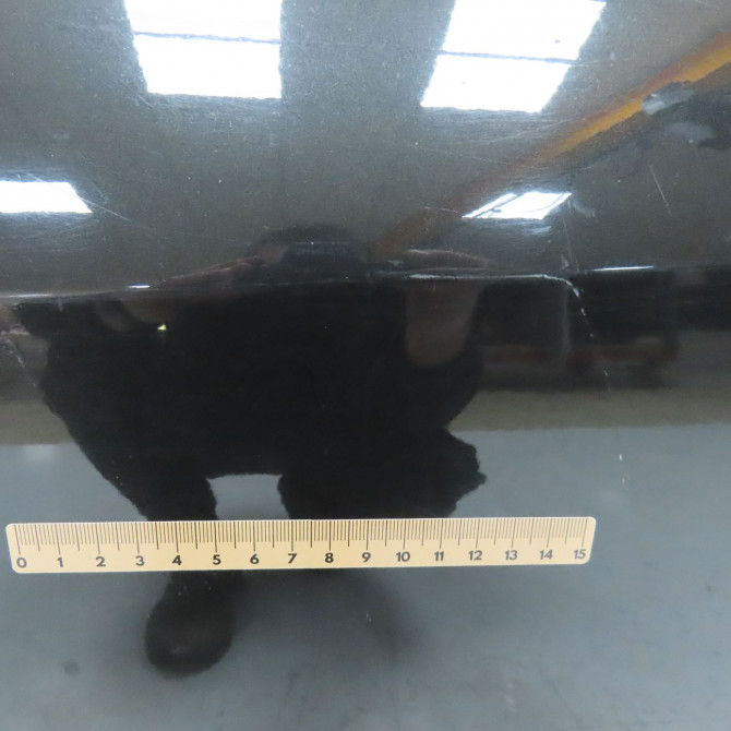 Porte arrière gauche occasion RENAULT LAGUNA III Phase 1 10-2007->10-2010 1.5 DCI 821010023R 4