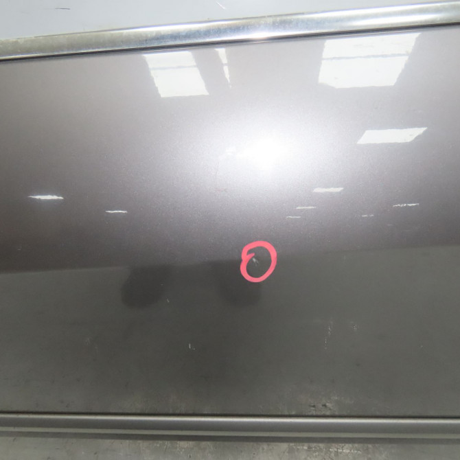 Porte avant gauche occasion RENAULT LAGUNA III Phase 2 11-2010->03-2013 2.0 DCI 16v 130ch 801010025R 3