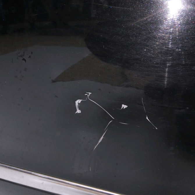 Porte arrière gauche occasion RENAULT SCENIC III Phase 2 12-2011->03-2013 1.6 DCI 130ch 821017991R 3