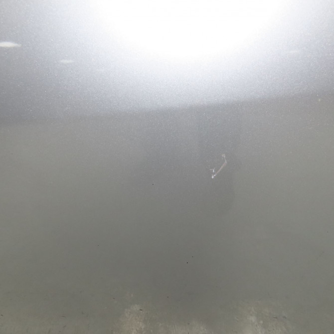 Porte arrière gauche occasion RENAULT SCENIC III Phase 1 04-2009->11-2011 1.5 DCI 105ch 821017991R 3