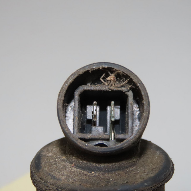 Clignotant gauche occasion CITROEN AX Phase 2 07-1991->06-1998 1.1i 95659635 4