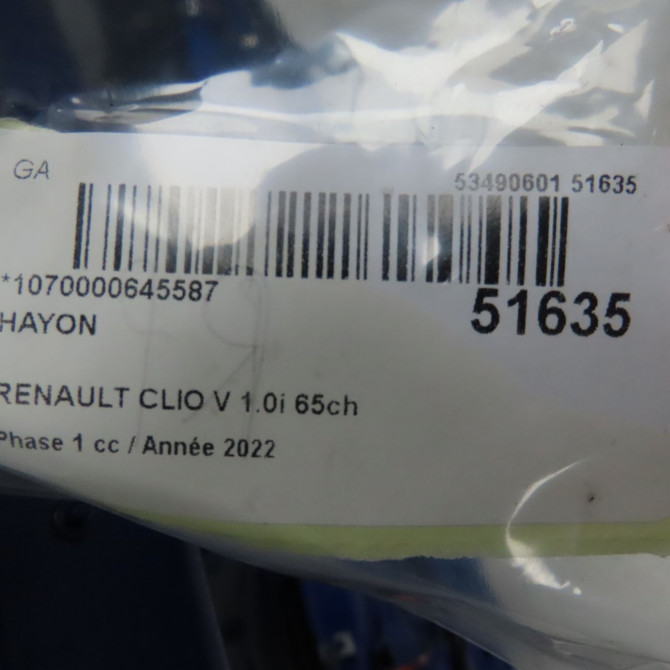 Hayon occasion  901006566R 6