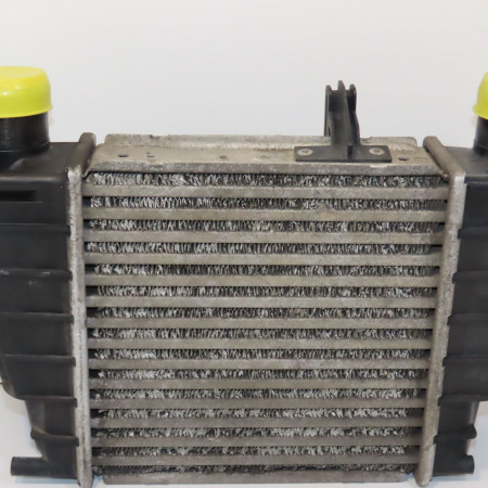 Echangeur air occasion RENAULT CLIO III Phase 1 09-2005->03-2009 1.5 DCI 70ch 8200471888