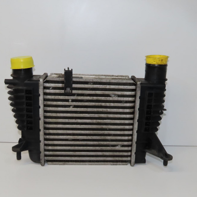 Echangeur air occasion RENAULT CLIO III Phase 2 03-2009->12-2014 1.5 DCI 85ch 8200471888 1