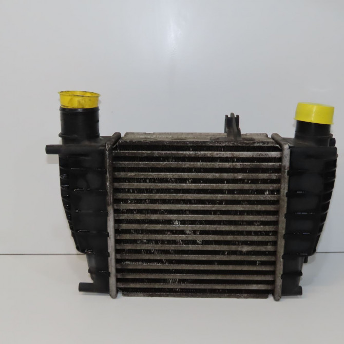 Echangeur air occasion RENAULT CLIO III Phase 2 03-2009->12-2014 1.5 DCI 85ch 8200471888 2