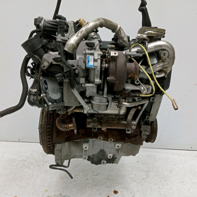 Moteur diesel occasion NISSAN JUKE Phase 2 03-2014->... 1.5 DCI 110ch 1010200Q7HEX 3